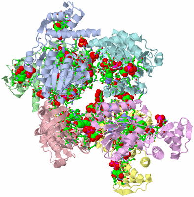 Image Asym./Biol. Unit - sites