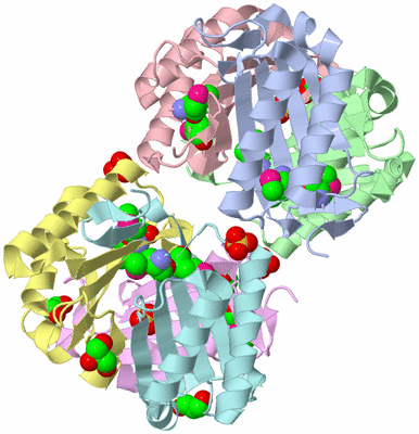 Image Biological Unit 1