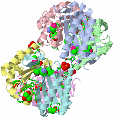 Image Biol. Unit 1 - sites