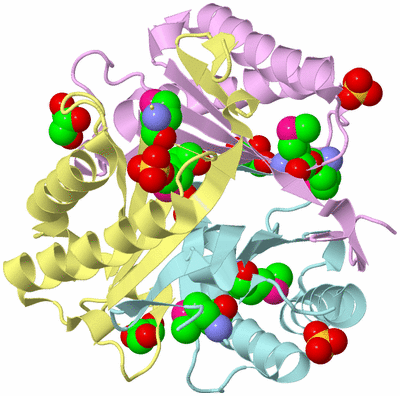 Image Biological Unit 2