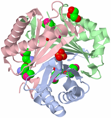 Image Biological Unit 3