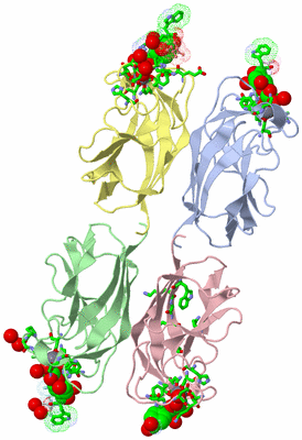 Image Asym./Biol. Unit - sites