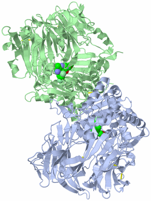 Image Asym./Biol. Unit