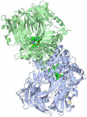 Image Asym./Biol. Unit - sites