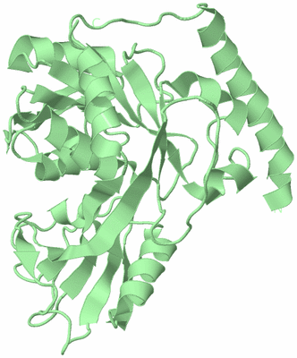 Image Biological Unit 2