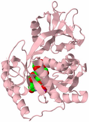 Image Biological Unit 3