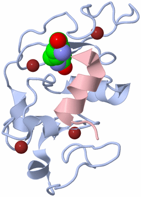 Image Biological Unit 1