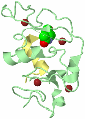 Image Biological Unit 2