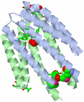 Image Biol. Unit 1 - sites