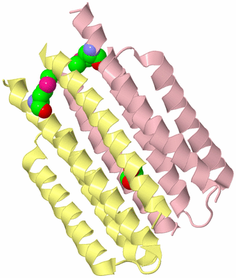 Image Biological Unit 2