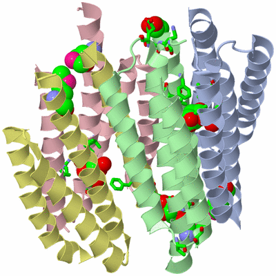 Image Asym. Unit - sites