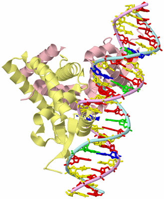 Image Biological Unit 2