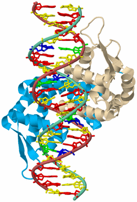 Image Biological Unit 3