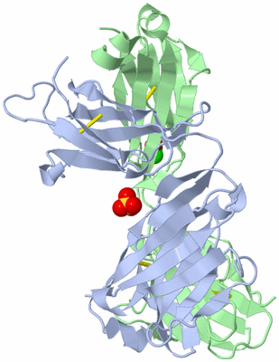 Image Biological Unit 1