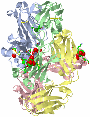 Image Asym. Unit - sites