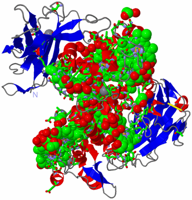 Image Asym./Biol. Unit - sites