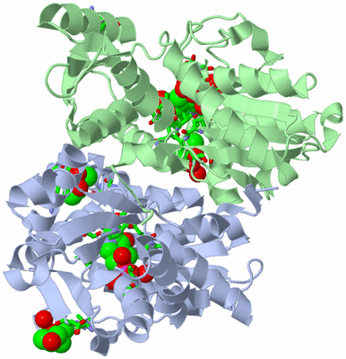 Image Asym./Biol. Unit - sites