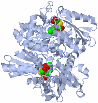 Image Biological Unit 1