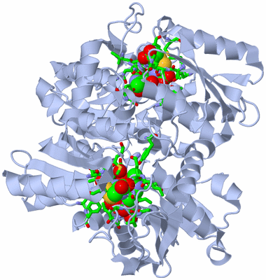 Image Biol. Unit 1 - sites