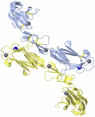 Image Biological Unit 5