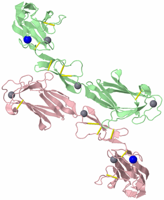 Image Biological Unit 6