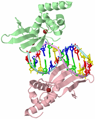 Image Biological Unit 2