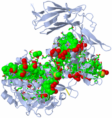 Image Biol. Unit 1 - sites