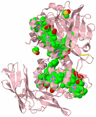 Image Biological Unit 3