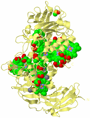 Image Biological Unit 4