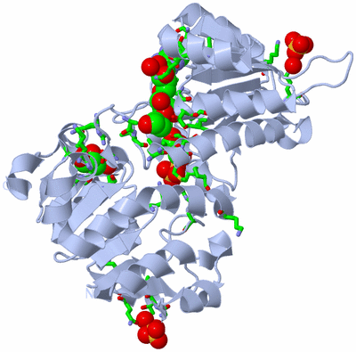 Image Biol. Unit 1 - sites