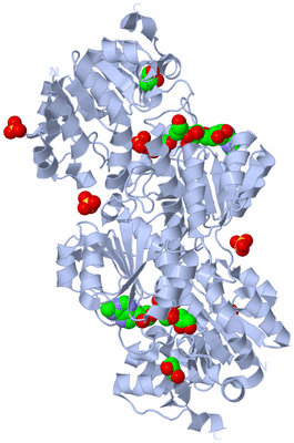 Image Biological Unit 2