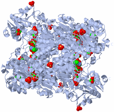 Image Biological Unit 3