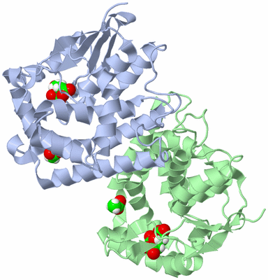 Image Biological Unit 1