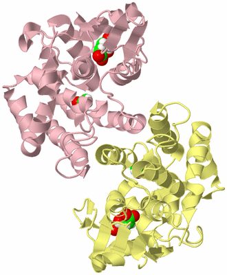 Image Biological Unit 2