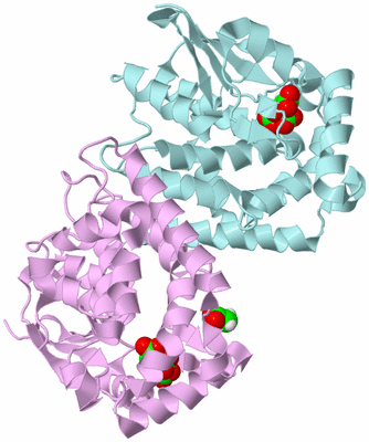 Image Biological Unit 3