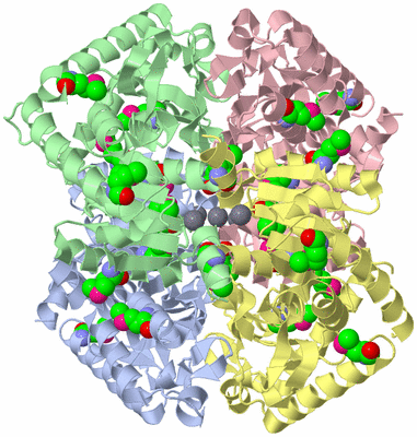 Image Asym./Biol. Unit