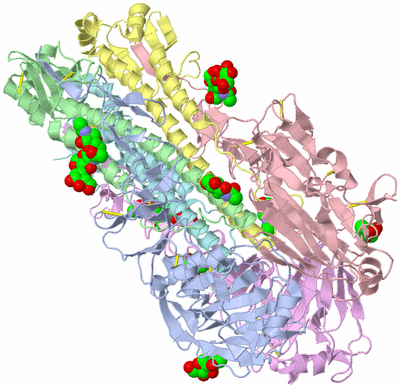 Image Biological Unit 1