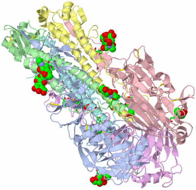 Image Biol. Unit 1 - sites