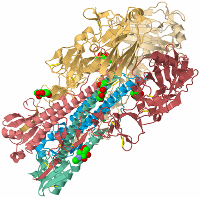 Image Biological Unit 5