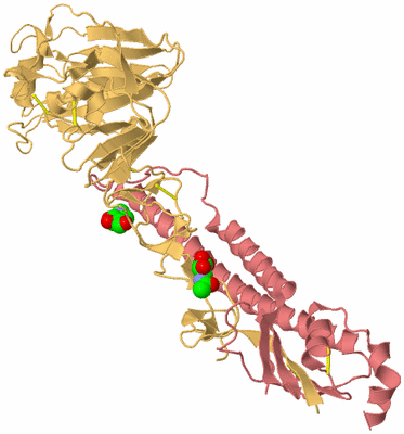 Image Biological Unit 6