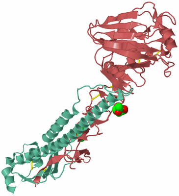 Image Biological Unit 8