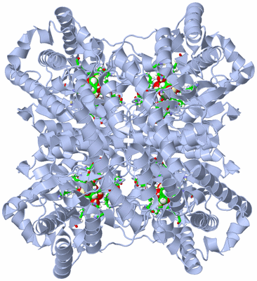 Image Biol. Unit 1 - sites