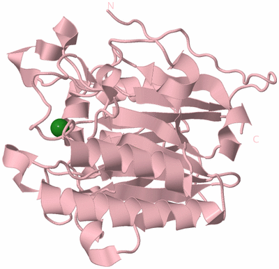 Image Biological Unit 3