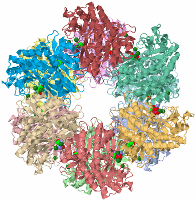 Image Asym./Biol. Unit