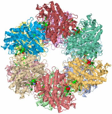 Image Asym./Biol. Unit - sites