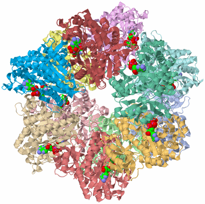 Image Asym./Biol. Unit