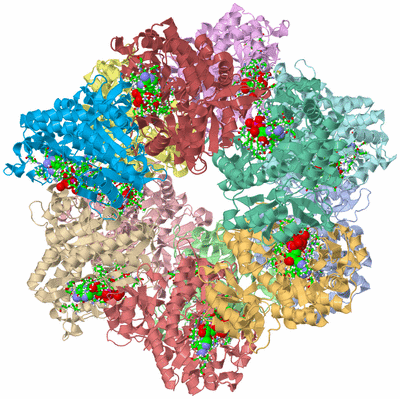 Image Asym./Biol. Unit - sites