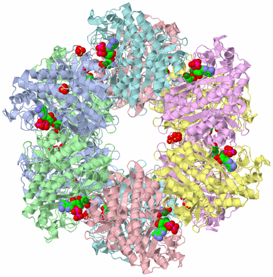 Image Biological Unit 1