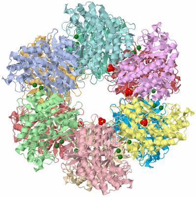 Image Asym./Biol. Unit