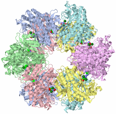 Image Biological Unit 1